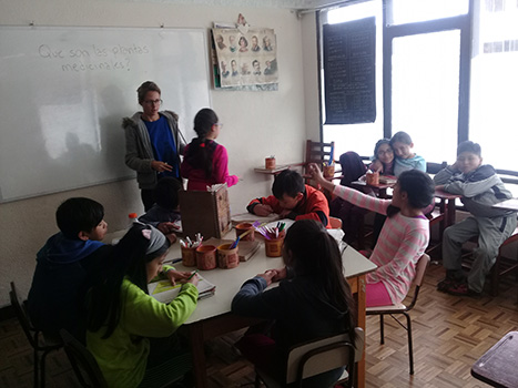 Taller de huertos, colegio Utasawa